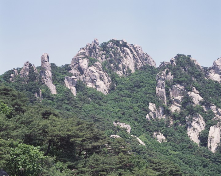 동양이미지