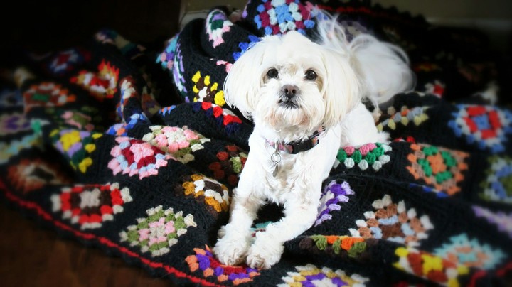 Rubi