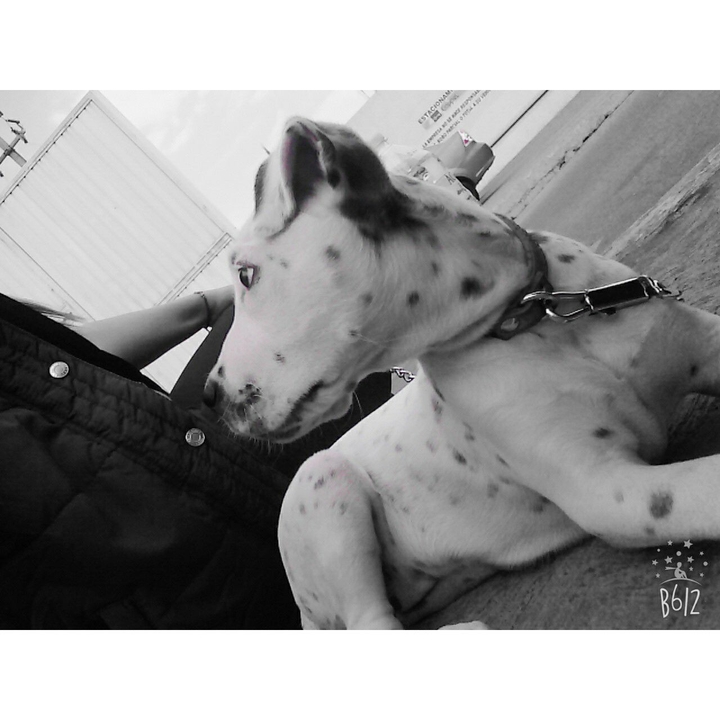 My little Baghee 