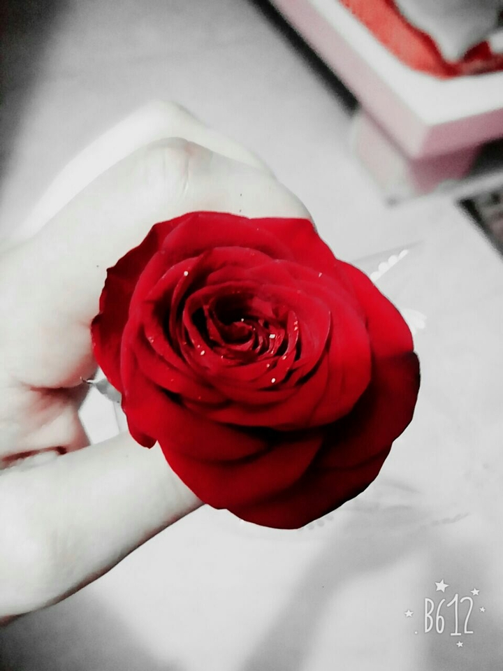 roses