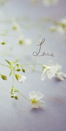 Love...