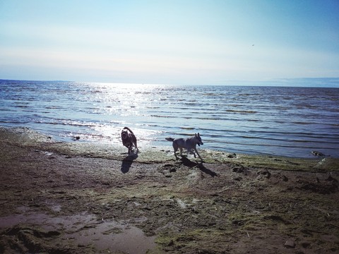 hình nền sky, coast