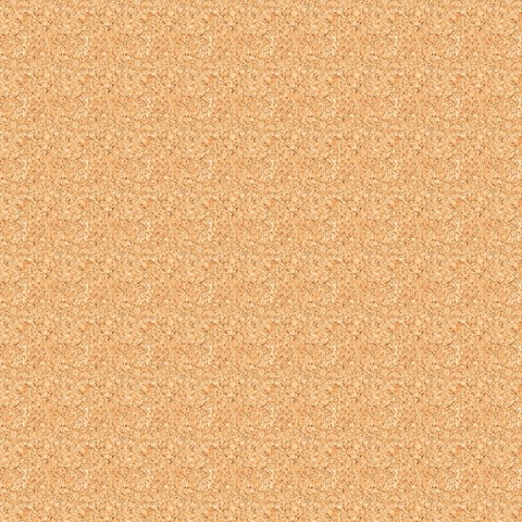 sand background