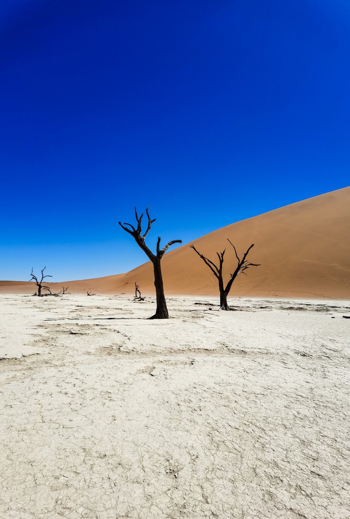 deadvlei, Sossusvlei, Namibia ??