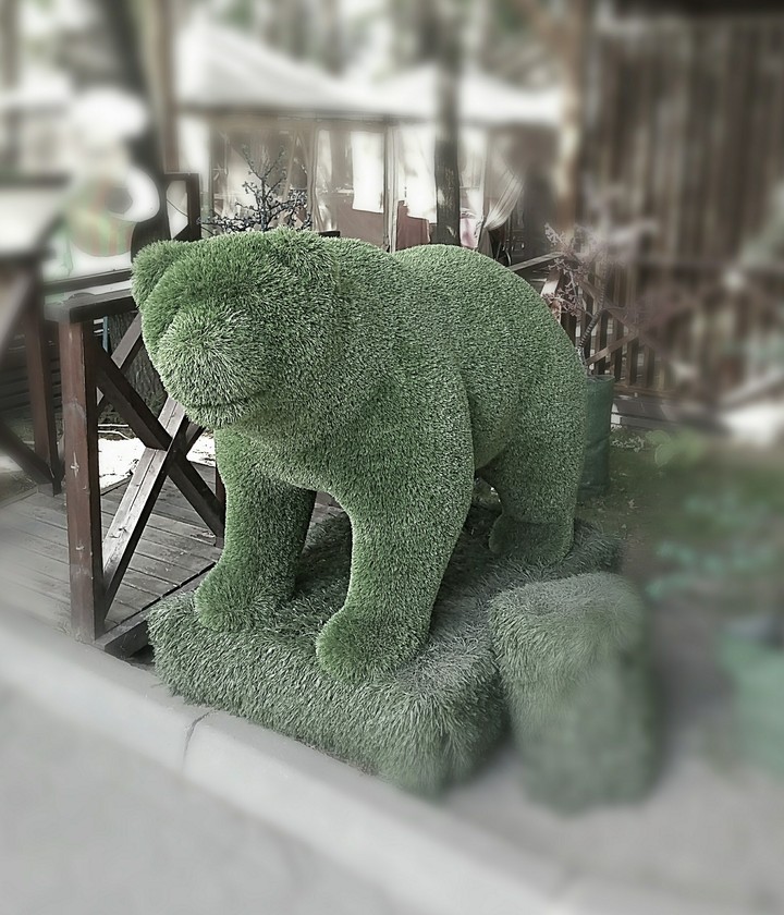 meДveД