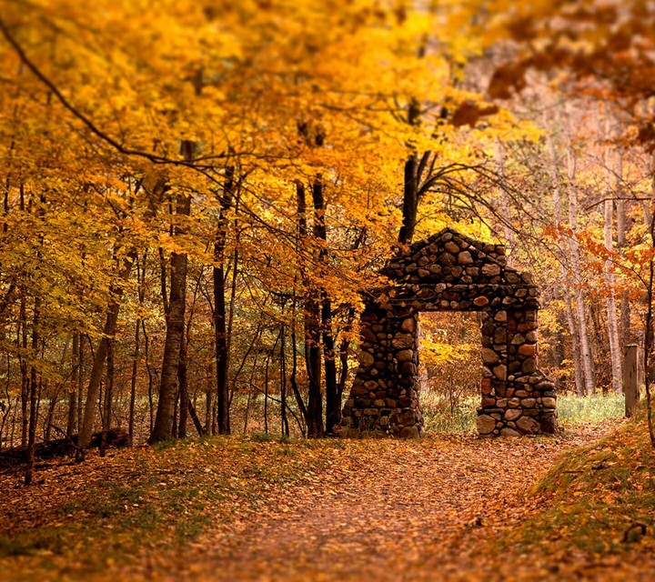 Beautiful Autumn
