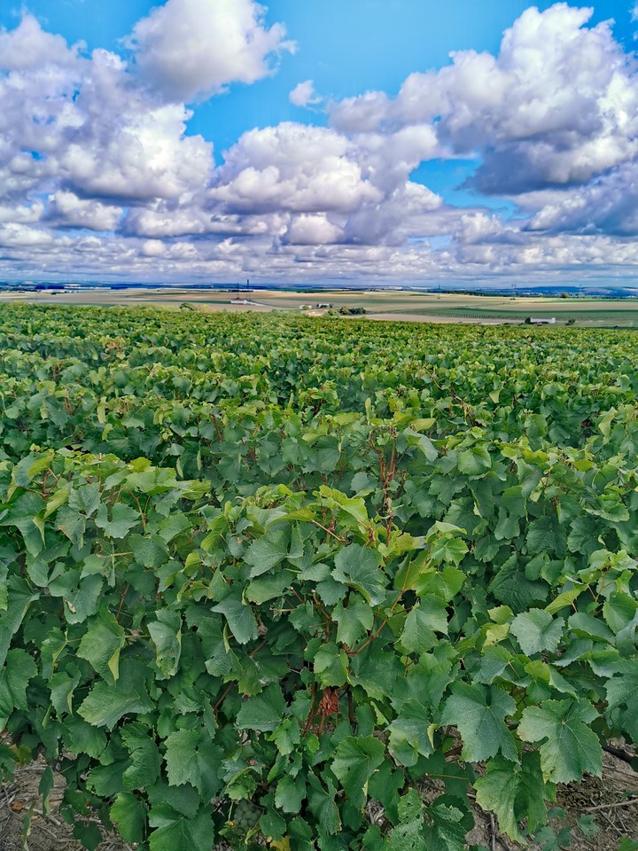 piękny widok - Francja/Beeru