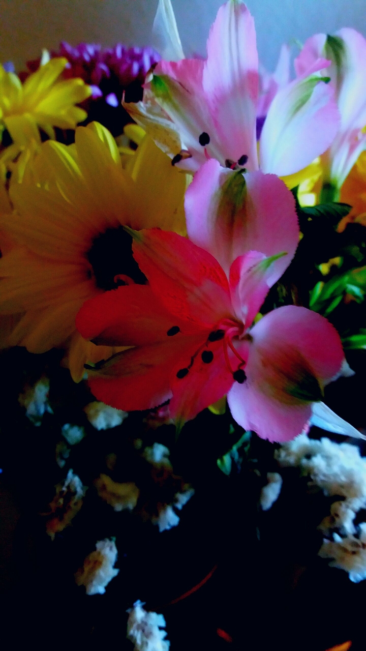 Friday's flowers