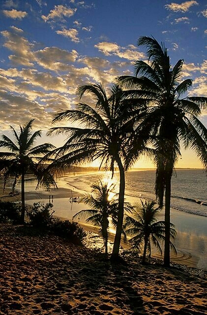 beautiful and more