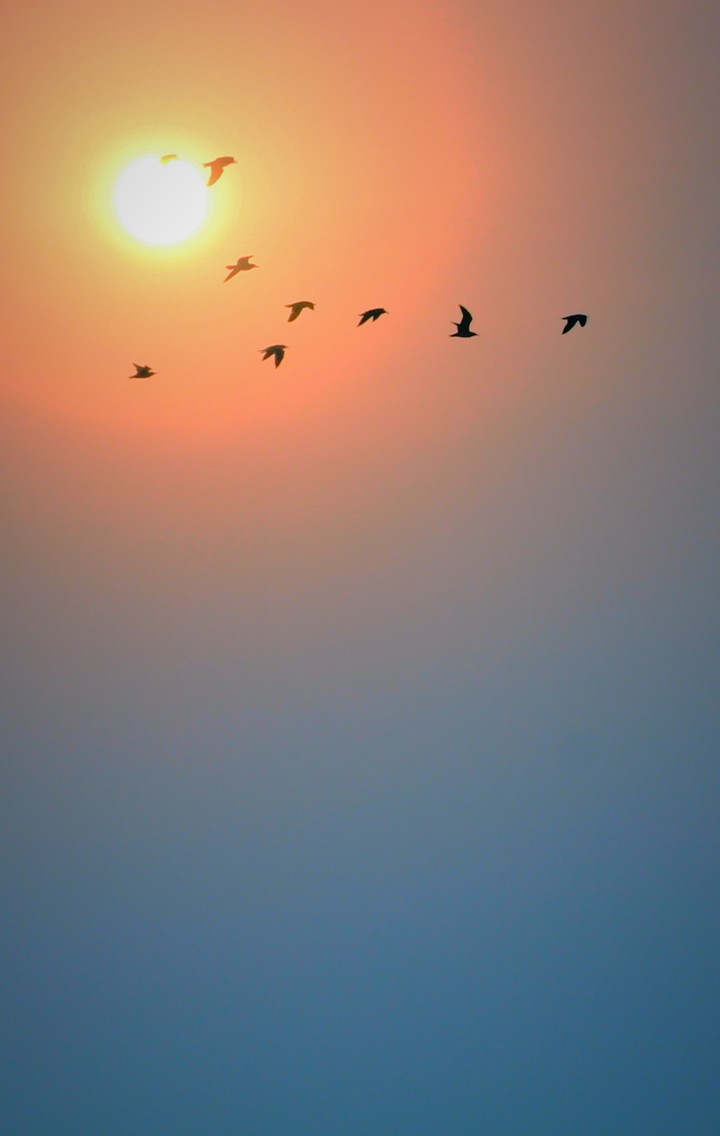 Between Earth & Sun