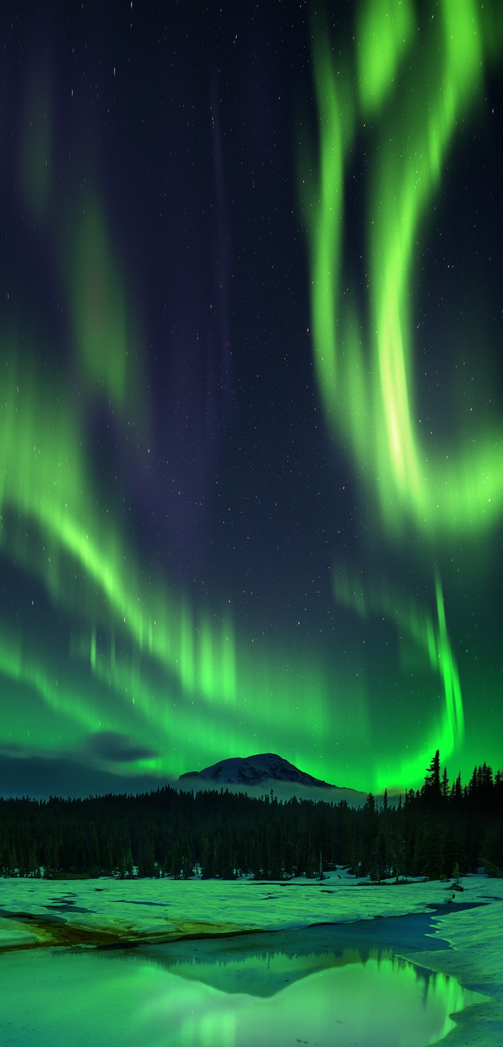wallpaper