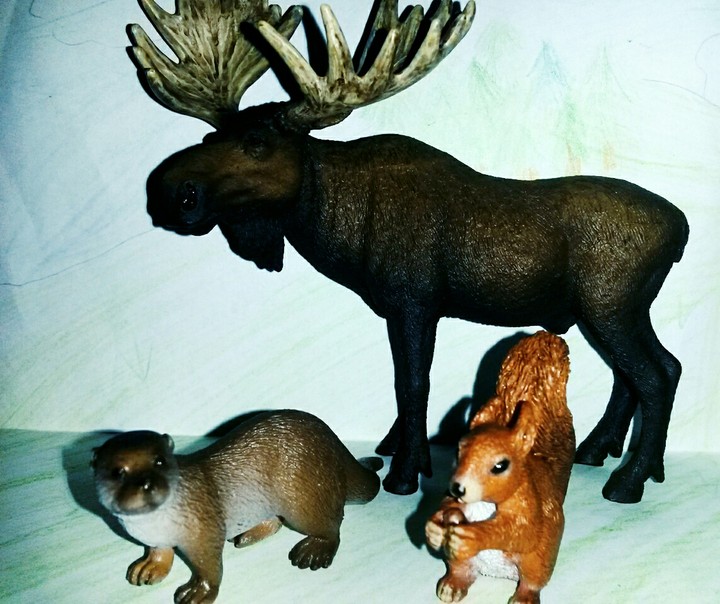 Wald Tiere