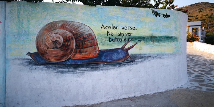 snail wall