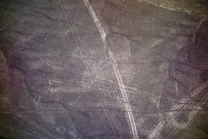 Travel