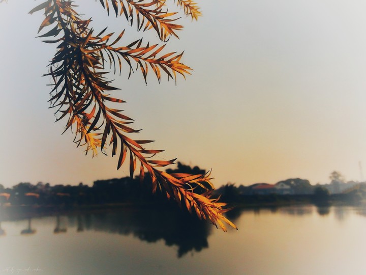 rajbari lake