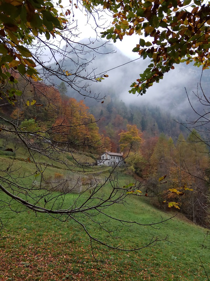 Autunno?