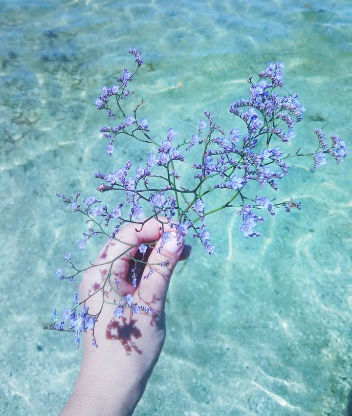 sea