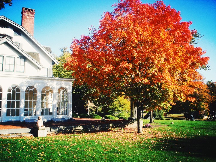 Beautiful Autumn