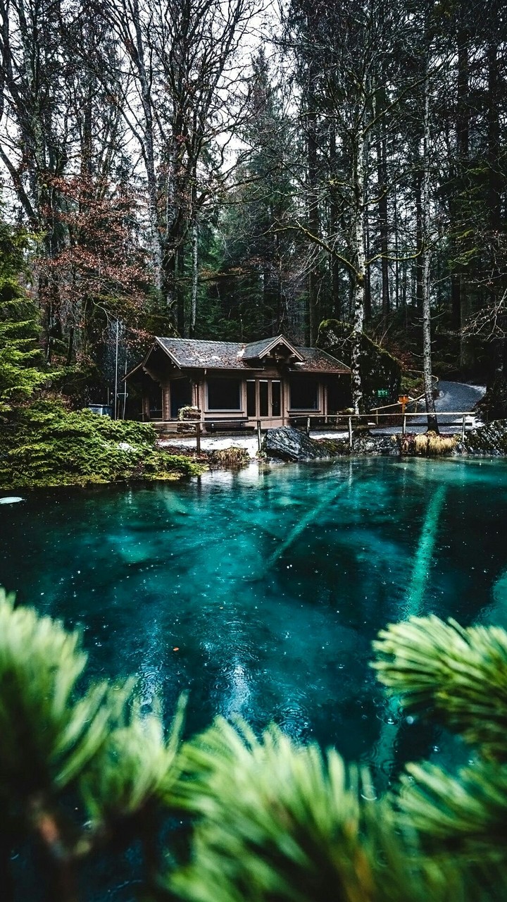 nature