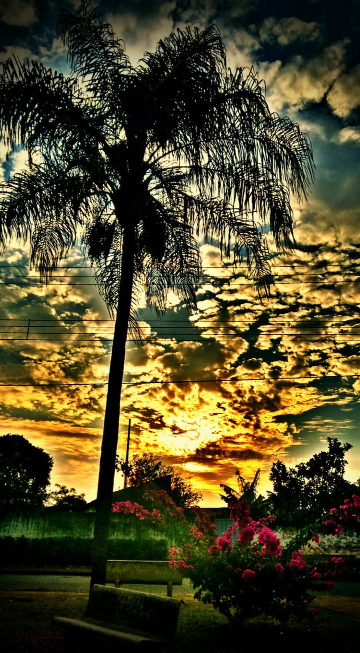 Nature