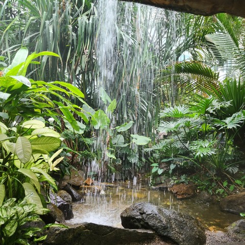 Water, 自然壁纸