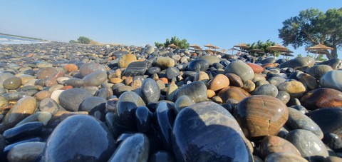 sfondi bedrock, grass