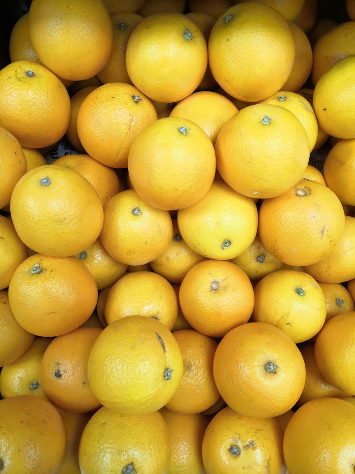 Fruits
