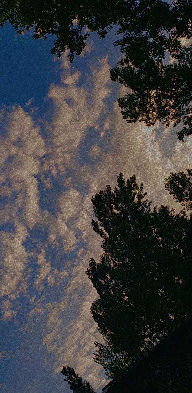 sky.