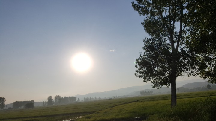 Sun