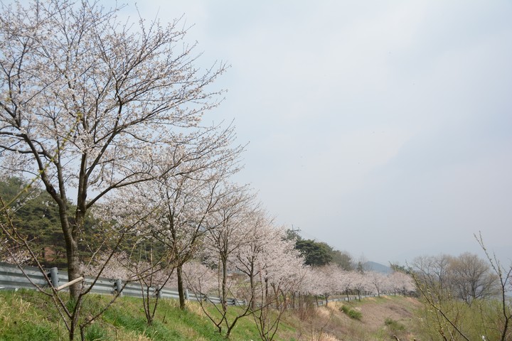 풍경이미지