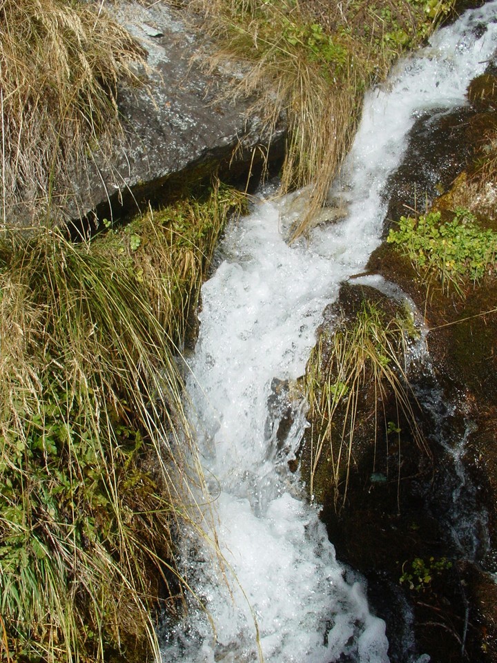 Water