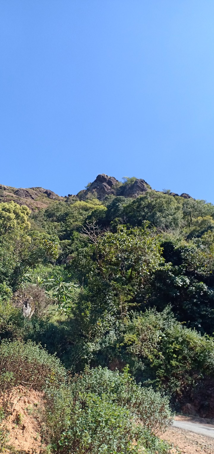 nature pic