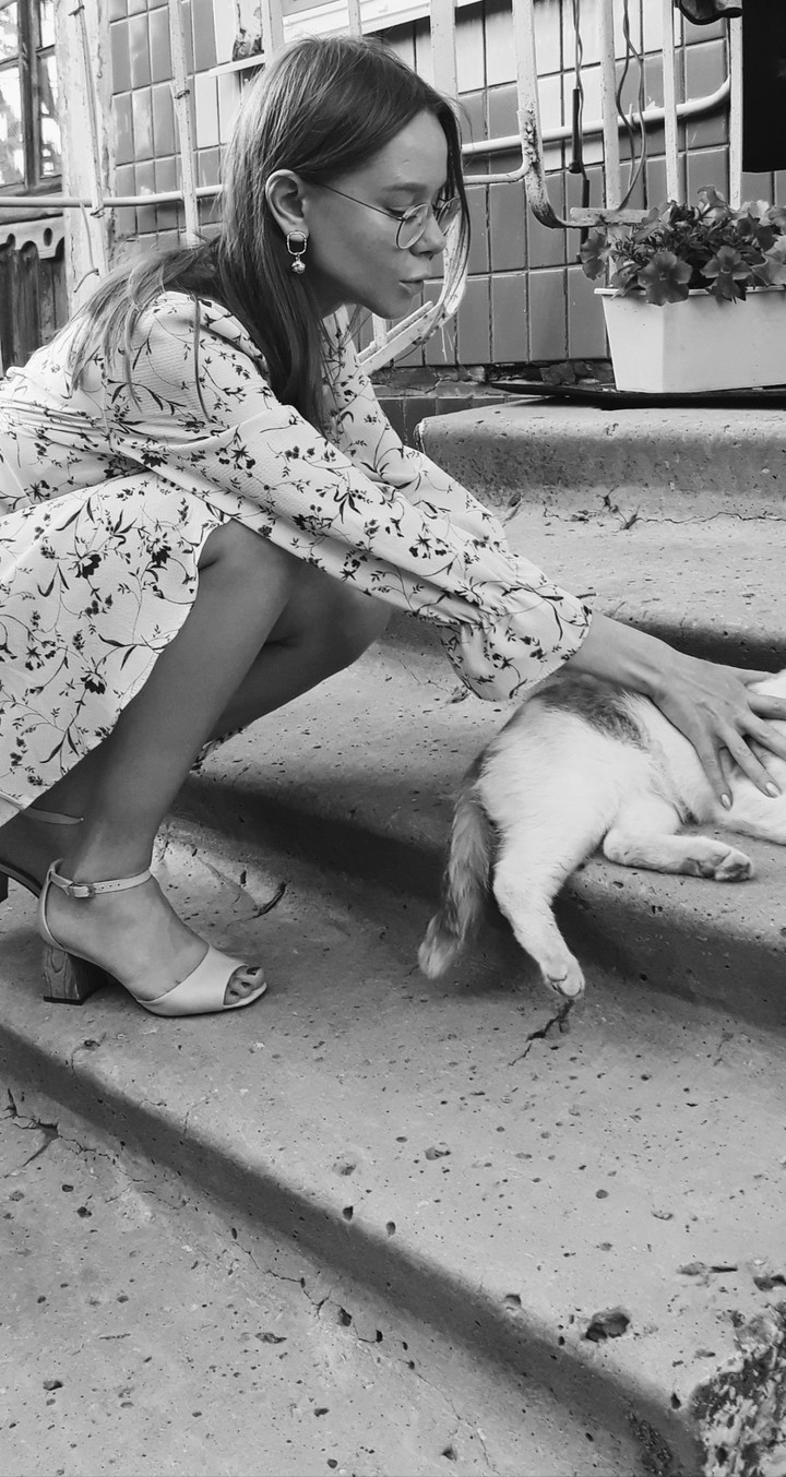 cat cat
