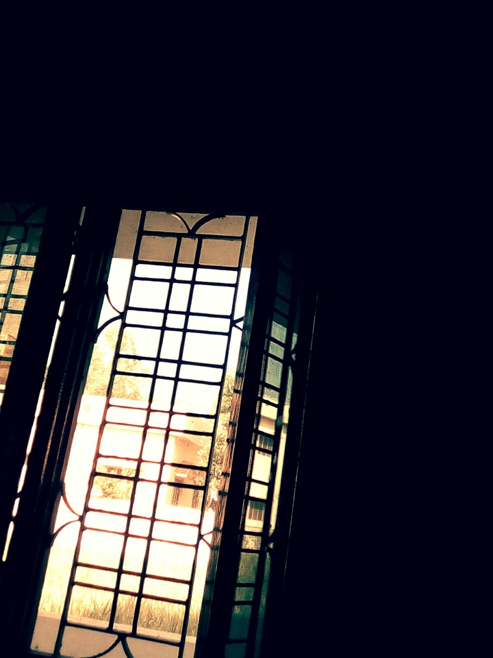 Sunlight