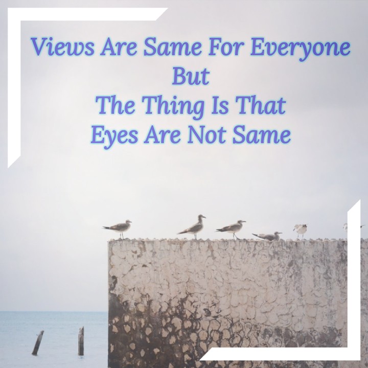 Same View;Different Eyes