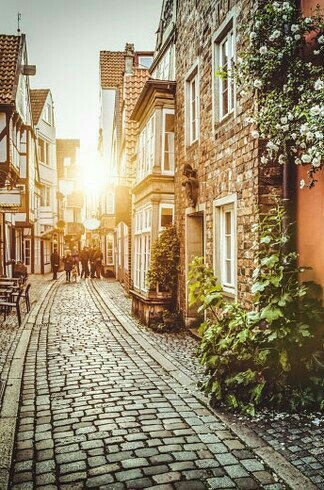 Have a lovely day ..