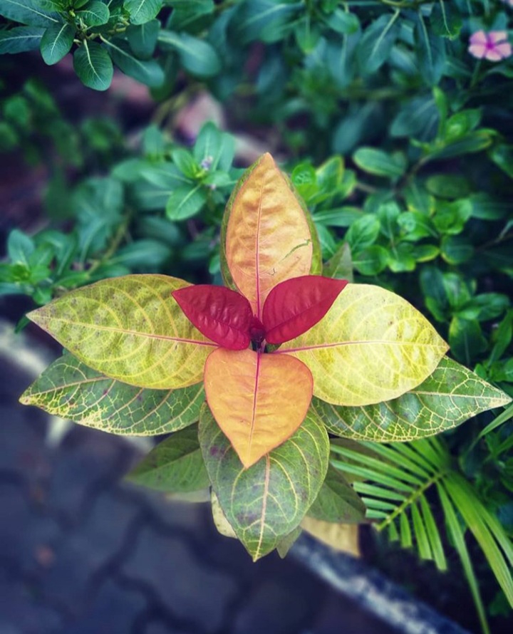 Different shades of life !!!