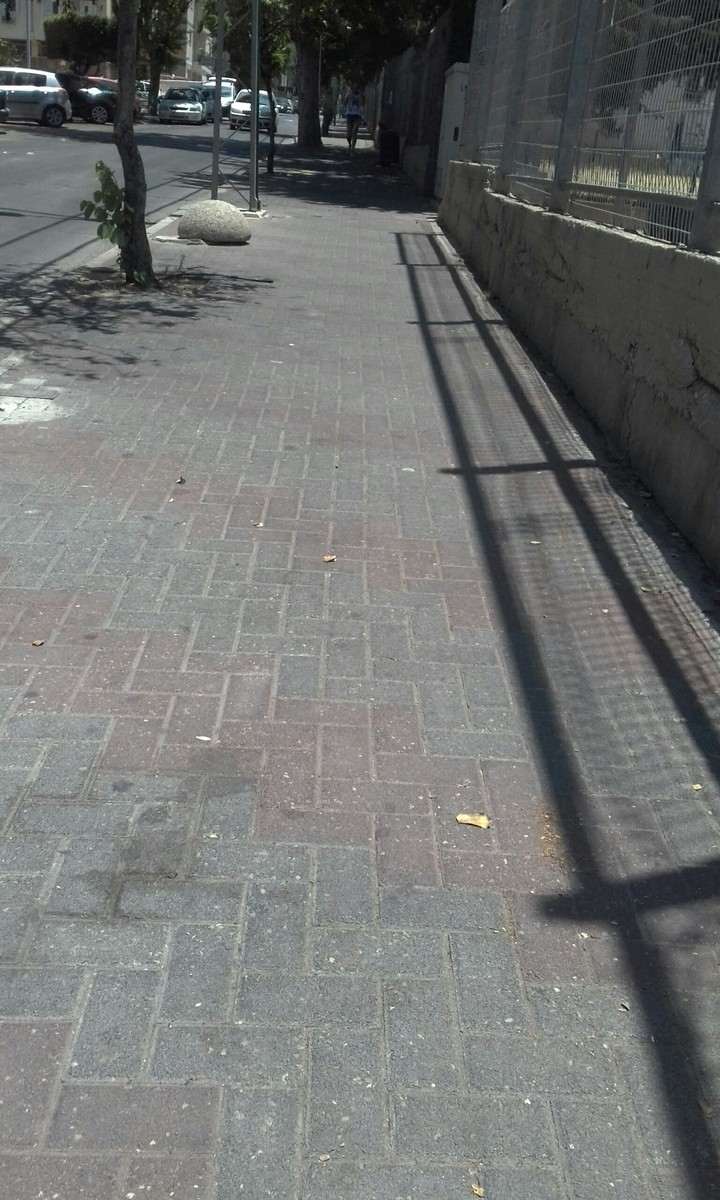 שחר