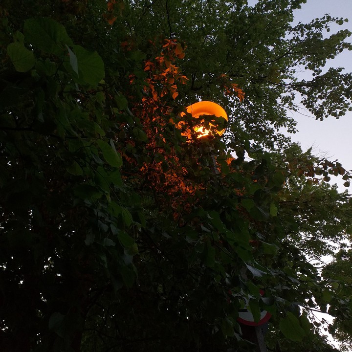 light