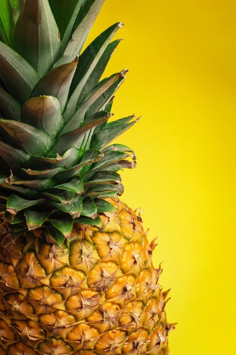 обои food, bromeliads