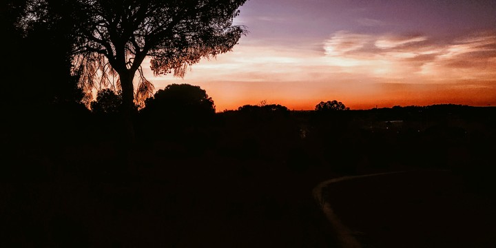 Sunset