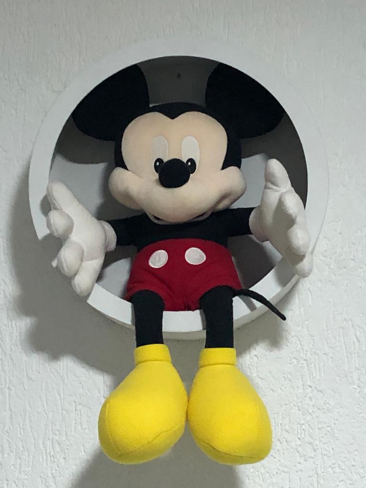 Toy