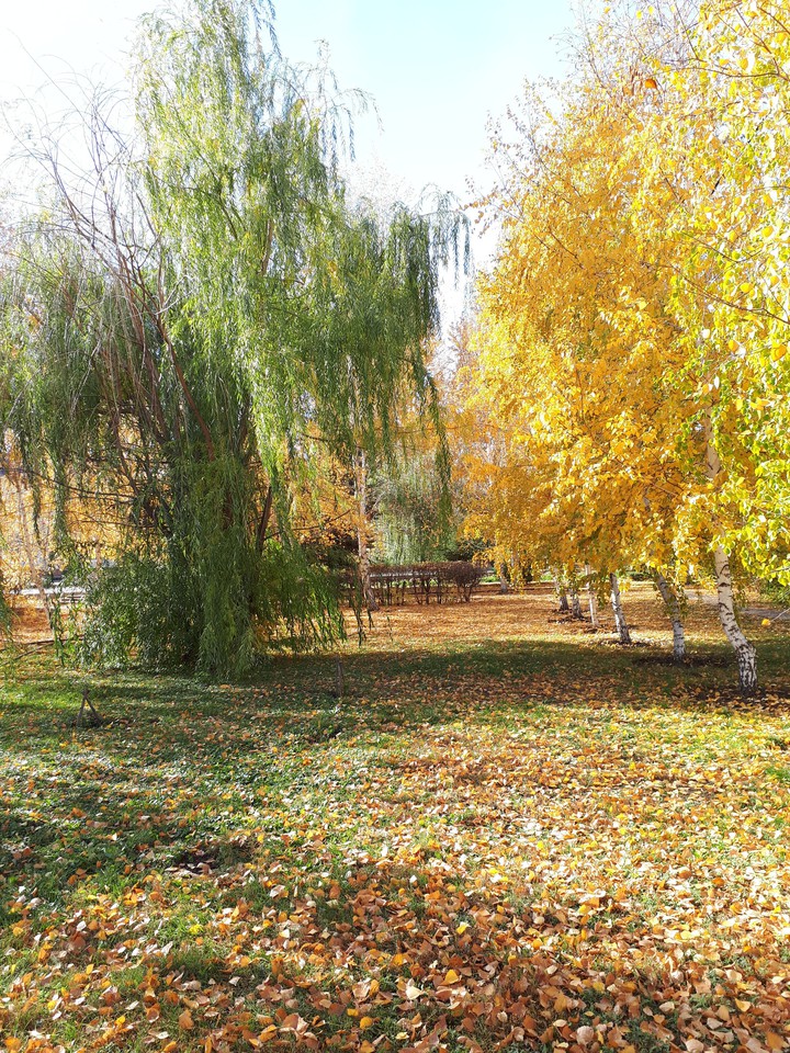 autumn