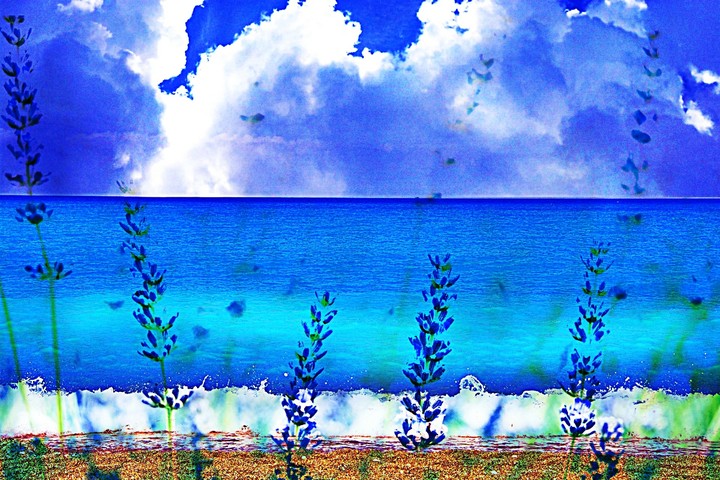 'Something we call paradise'