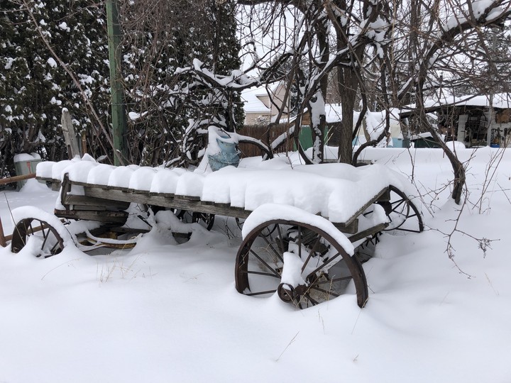 Buried in snow