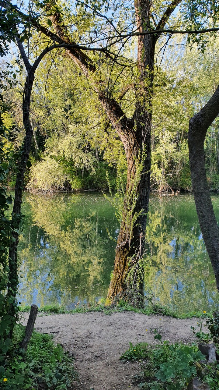 Water mirroring