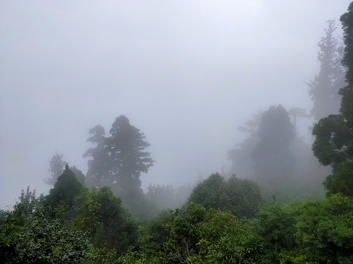 misen in fog