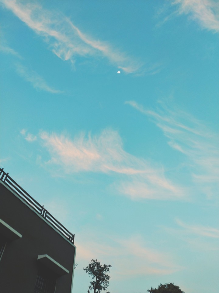 AMBIENCE