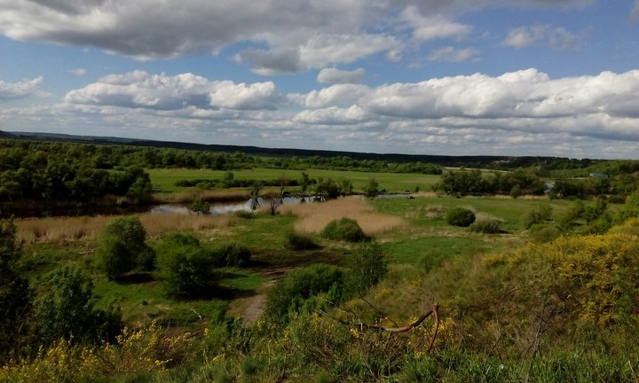 Воронеж