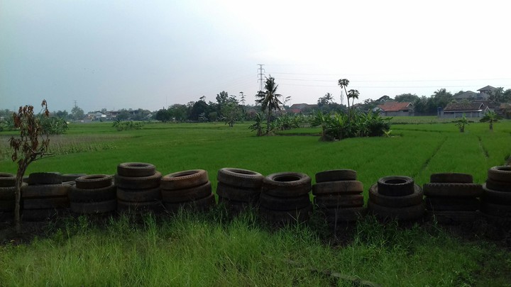 Field